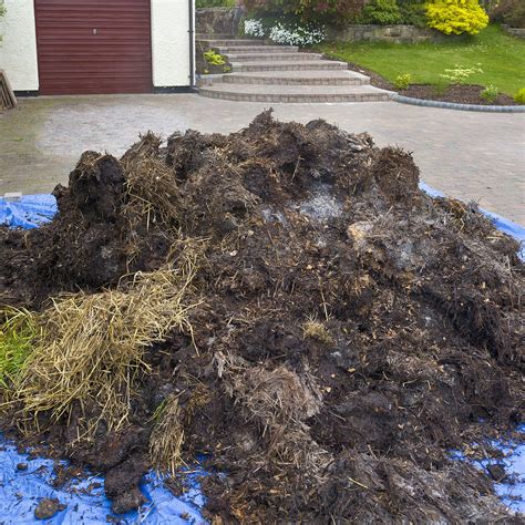 9 Fascinating Facts About Horse Manure