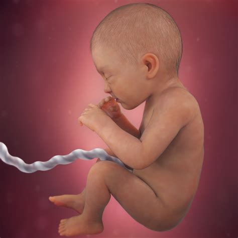 Pictures Of Babies Born At 32 Weeks Pregnant