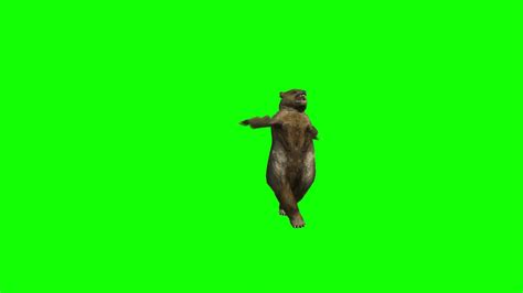 Top Green Screen Dance Bears Animated Youtube