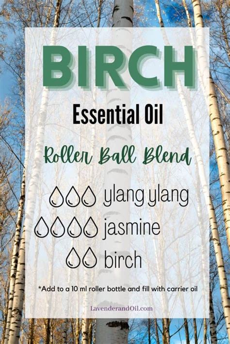 Health Benefits Of Birch Essential Oil