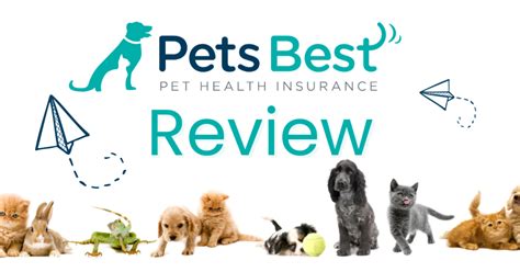 Pets Best Pet Insurance Review 2023