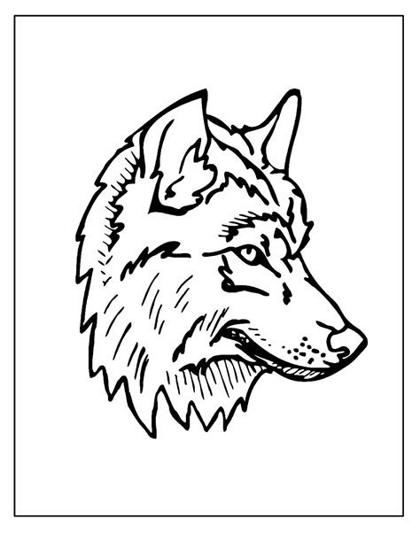 50 Desenhos para colorir de Lobo Dicas Práticas