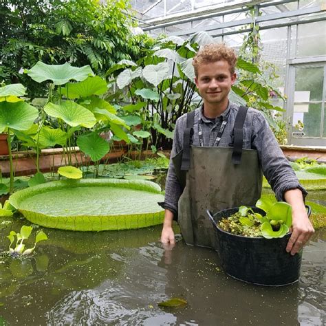 Tim Shaw Horticulturist Royal Botanic Gardens Kew Linkedin