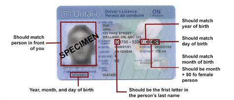 The Personal Information About You On Your Ontario Drivers Licence