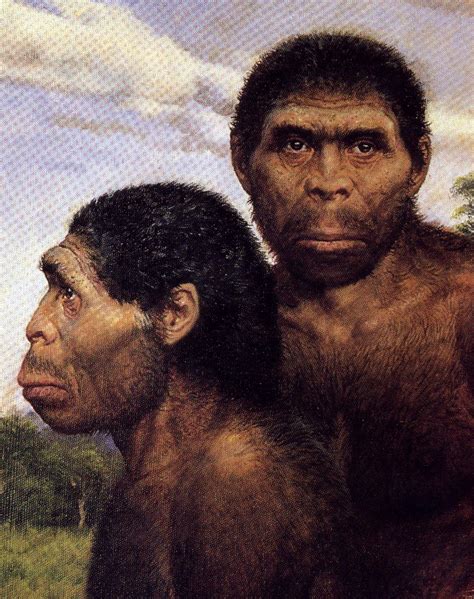 Human Evolution Early Humans History Human Evolution Evolution