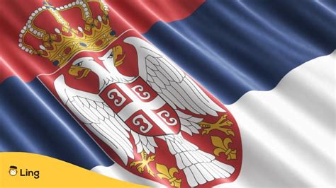 Serbian Flag 3 Useful Facts You Need To Know Ling App