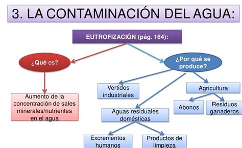 Mapa Conceptual De La Contaminacion Del Agua Creampie My Xxx Hot Girl