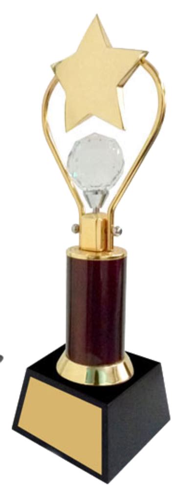 One Star Crystal And Pipe Small Trophy At Rs 1585 Piece Crystal Star