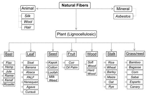 1 Classification Of Some Of The Most Common Natural Fibers Adapted
