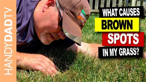 What Causes Brown Spots In The Summer Lawn Fungus Control Youtube