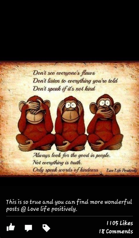 Cute Monkey Quotes Quotesgram