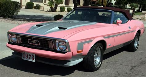 Pink Mustang 3 The Mustang Source