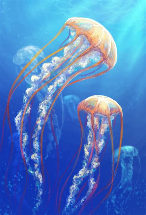 Jellyfish By Anekashu On Deviantart