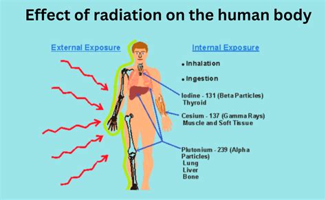 Effect Of Radiation Types And Its Effects On Human