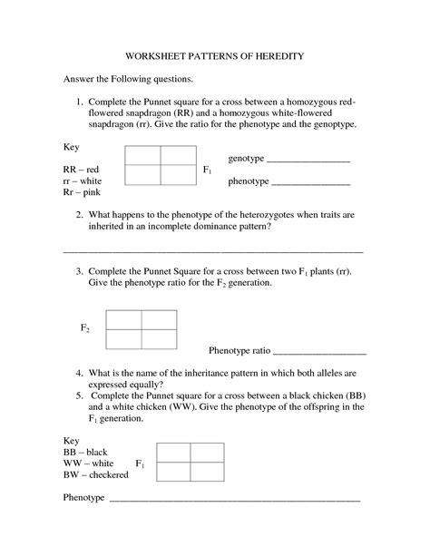 Learn how to use a punnett square to solve a mendelian monohybrid cross with one of the amoeba sister's favorite classroom. 28 Chromosomes And Inheritance Worksheet Answers - Worksheet Database Source 2020