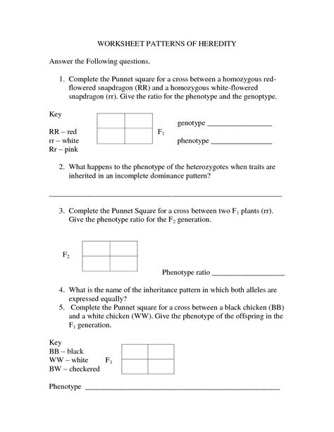 Learn vocabulary, terms and more with flashcards, games and other study tools. 14 Best Images of Monohybrid Cross Worksheet Answer Key ...