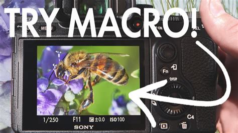 Intro To Macro Photography Tips To Get You Started Youtube