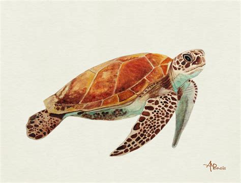 Turtle Watercolor Painting By Angeles M Pomata Fine Art America
