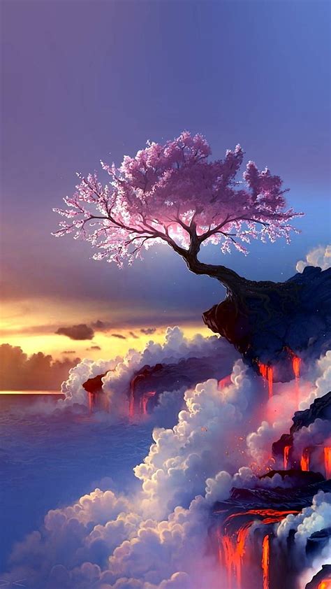 Cherry Blossom Tree Iphone Wallpaper