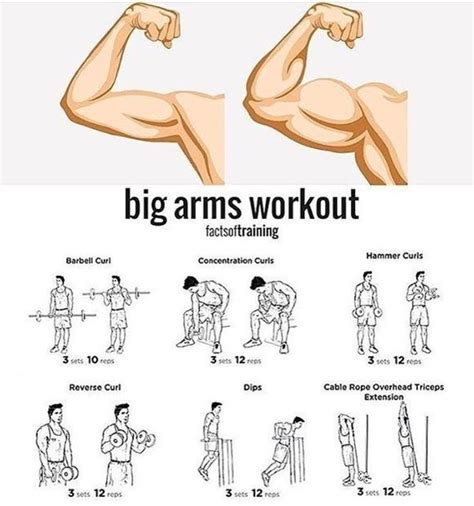 High Volume Arm Workout Fitness And Power Arm Workout Gym Workout