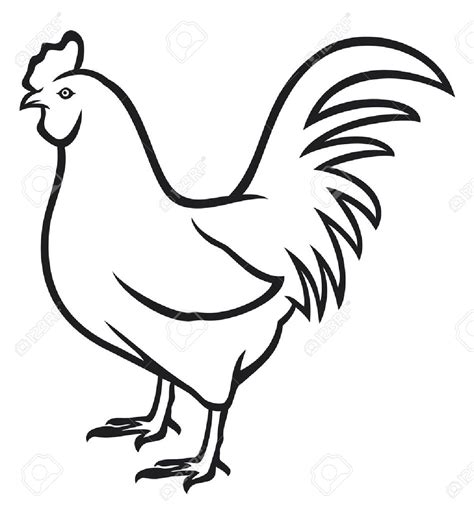 Rooster Black And White Clipart Free Download On Clipartmag