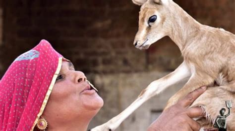 Indian Tribeswomen That Breastfeed Deer Alongside Children Youtube