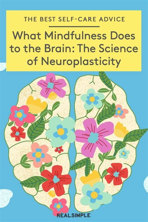 what mindfulness does to your brain the science of neuroplasticity infographic health