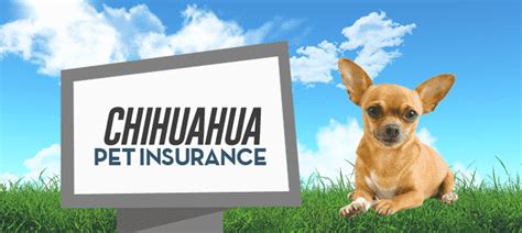 The most trusted pet insurance. Dog Insurance: Reviews Of Petplan Dog Insurance