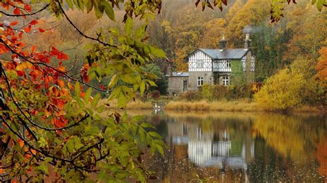 Body Of Water In Front Of Stone House Surrounded By Leafed Trees With