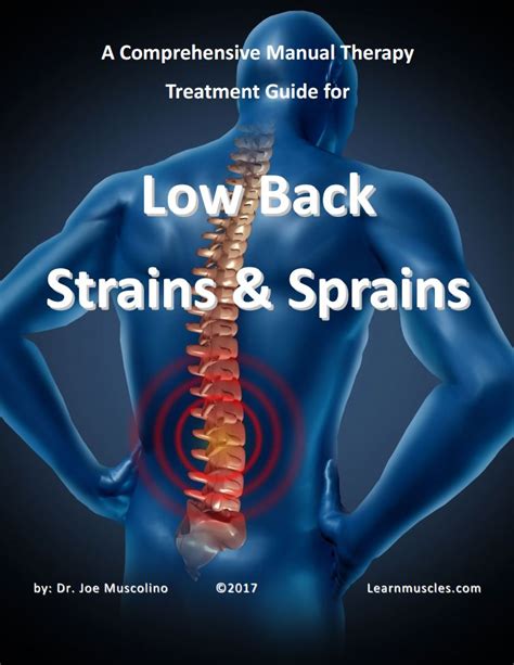 A Comprehensive Manual Therapy Treatment Guide For Low Back Strains