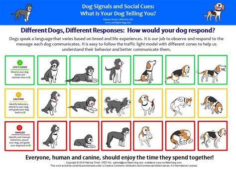 Dog Signalsdifferentdogsrevised 1056×768 Different Dogs Your