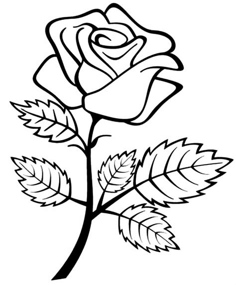 Desenhos De Rosas Para Colorir E Imprimir Pop Lembrancinhas