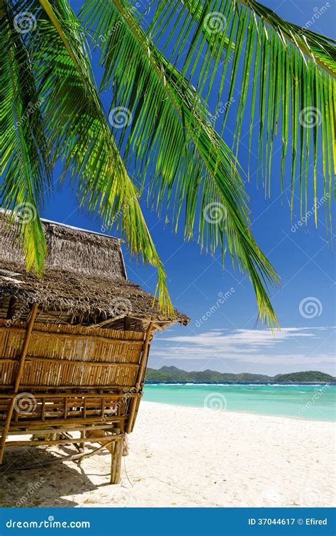 Bamboo Hut On A Tropical Beach Stock Image Image Of Bamboo Palm
