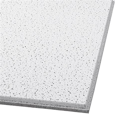 Armstrong Ceilings Common 48 In X 24 In Actual 47681 In X 23723