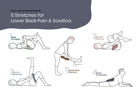 Sciatica Back Pain Exercises Hot Sex Picture