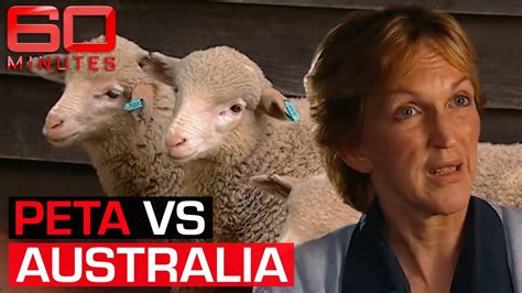 Why Animal Rights Group Peta Has Australia In Its Sights 60 Minutes
