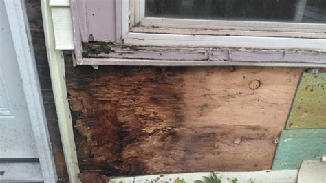Repairing Rotted Wood Window Frame M3maintenance