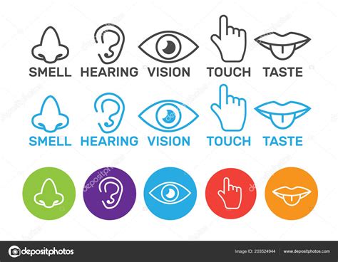 Icon Human Senses Vision Smell Hearing Touch Taste Icons Sense — Stock
