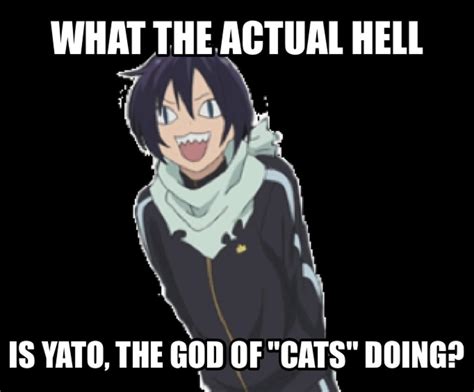 Noragami Meme Yatogod Of Cats Or Stupidity By Zanpaizano44 On