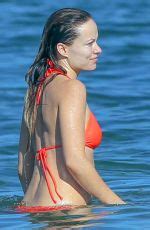 Olivia Wilde In Bikini At A Beach In Hawaii 12 12 2015 11 Thumbnail