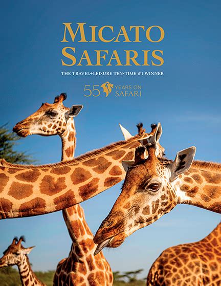 Request A Free Luxury African Safari Brochure Micato Safaris