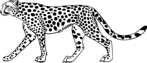 Cheetah Coloring Pages Animal Coloring Pages Colorin Pages Coloring