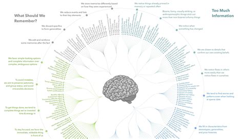 Cognitive Bias Share Visual Capitalist