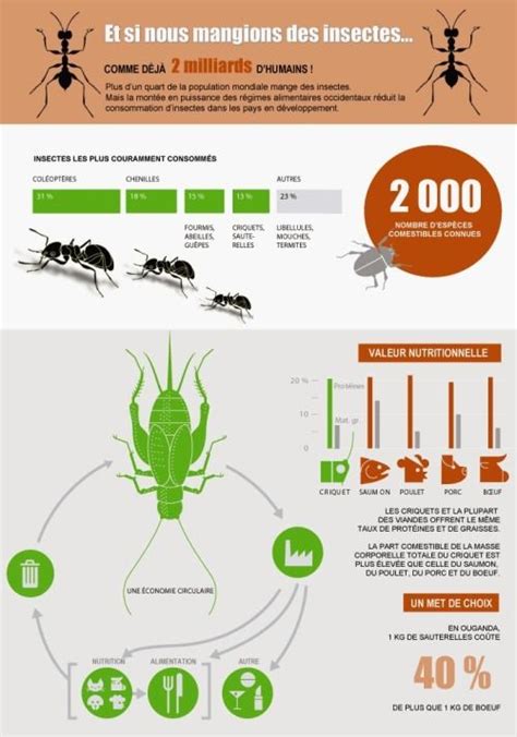 Petitbuzz Et Si Nous Mangions Des Insectes 2 Milliards Dhumains En