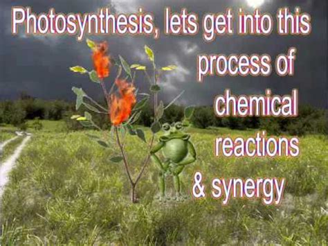 For example, words rhyme that end with the same vowel sound but have different spellings: Photosynthesis - YouTube