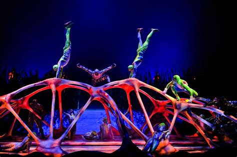Cirque Du Soleil Performer Falls To His Death As Crowd Watches The