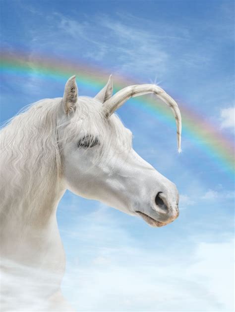 Rainbow Real Life Unicorn Pictures Imagen Para Colorear