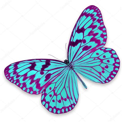 Pink And Blue Butterfly Stock Photo By ©thawats 41546001