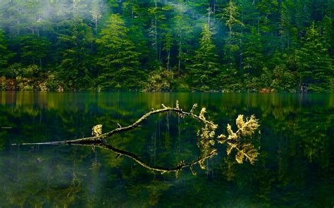 Fond Décran Lumière Du Soleil Des Arbres Paysage Forêt Lac Eau