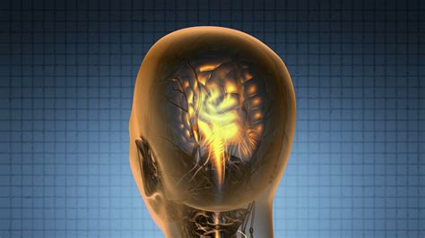 Science Anatomy Scan Of Human Brain Glowing With Yellow Motion